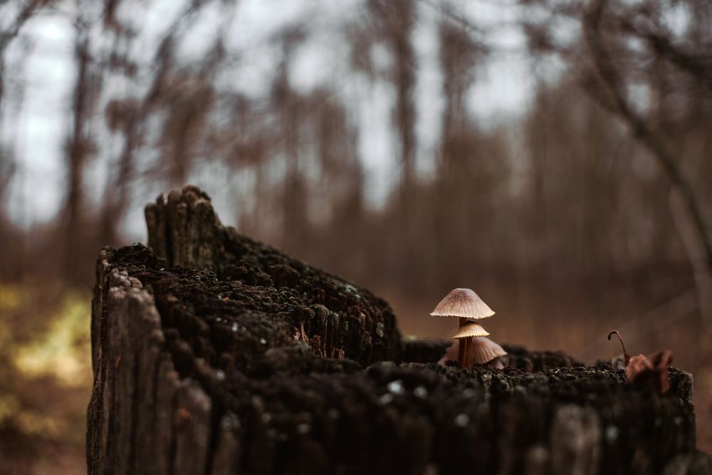 Photograph by Андрей Шелуков