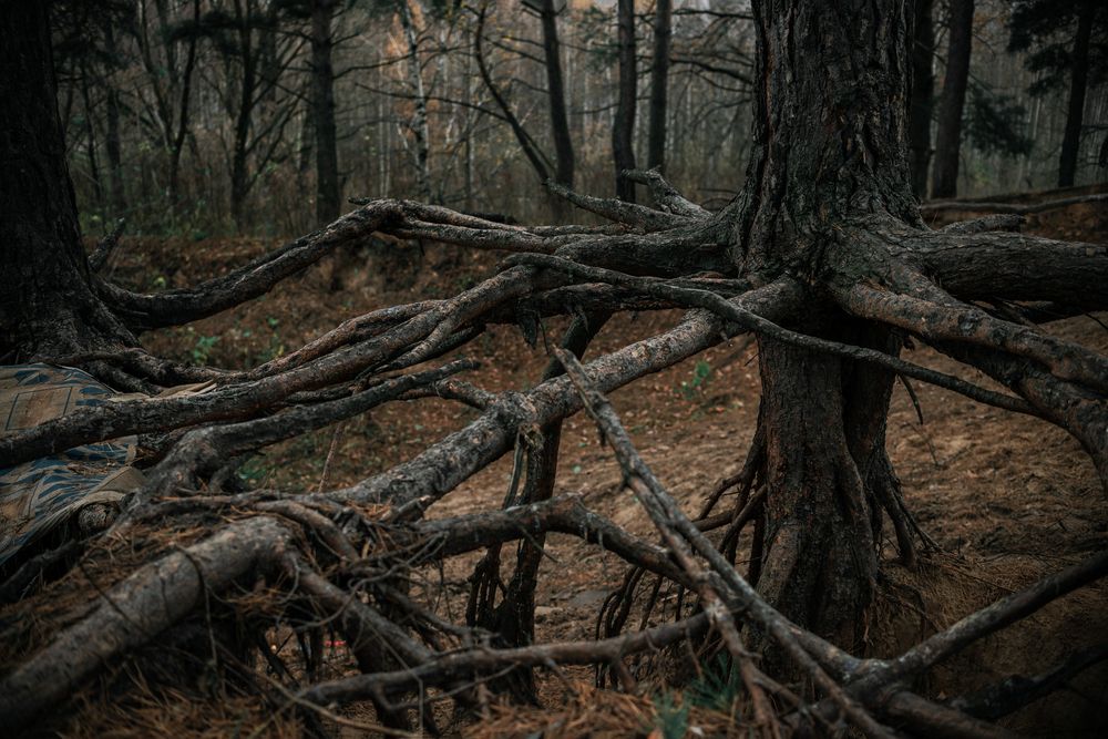 Photograph by Андрей Шелуков