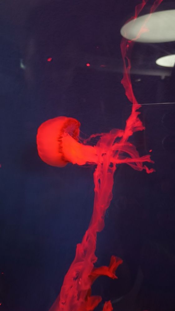 Photo #11828867