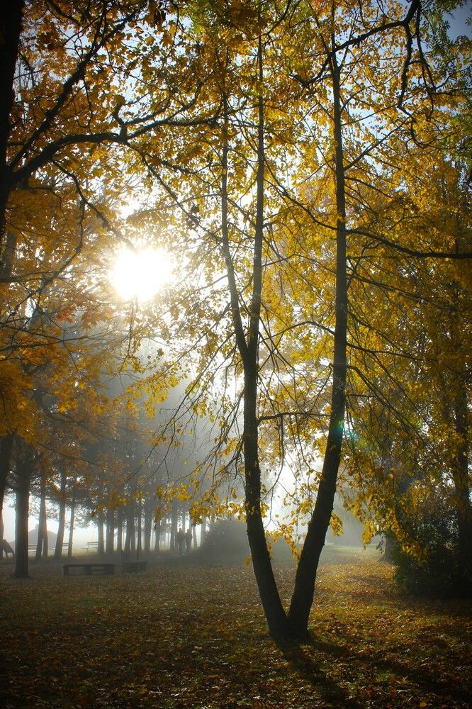 Photograph by ILONA OTRUTSKAYA