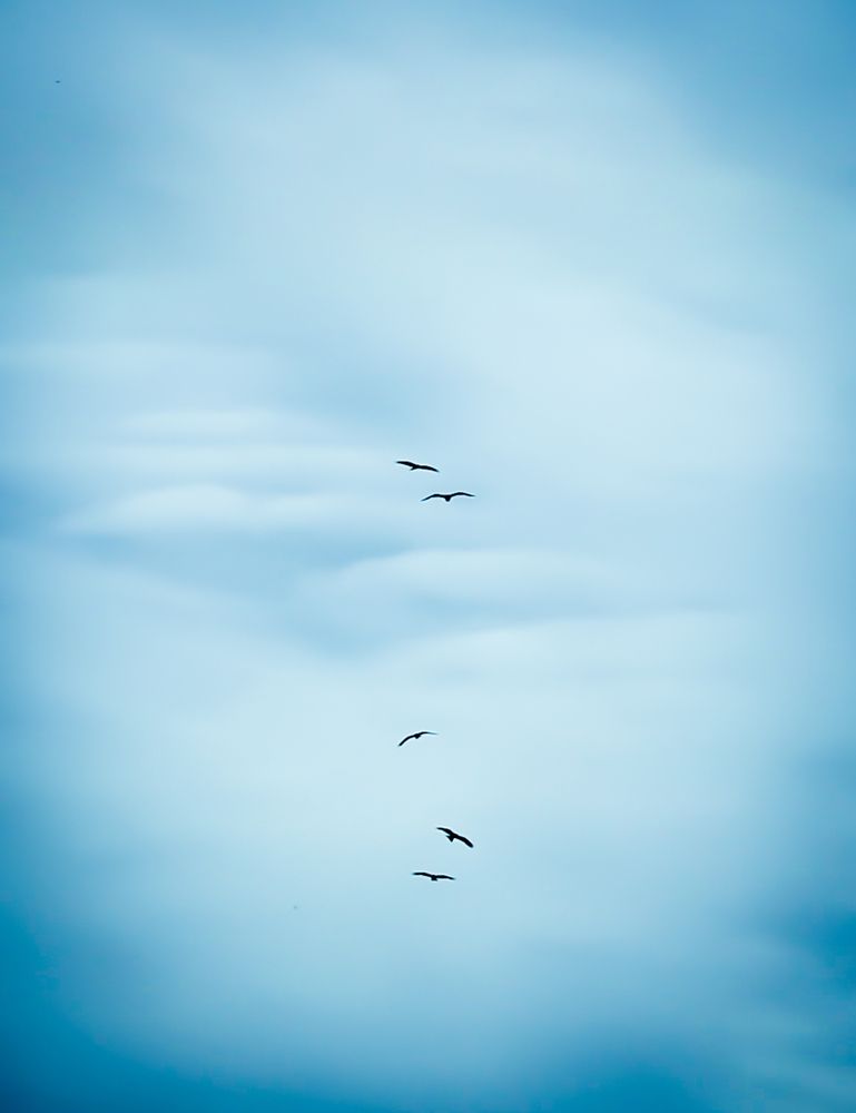 Photograph by Вадим Новокшонов