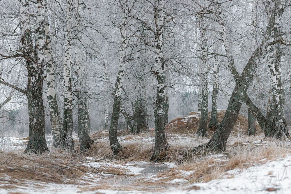 Photograph by Vladimir Petukhov