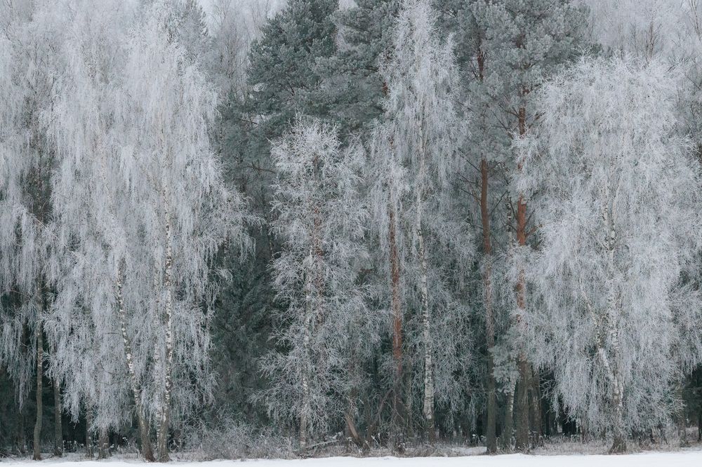 Photograph by Vladimir Petukhov