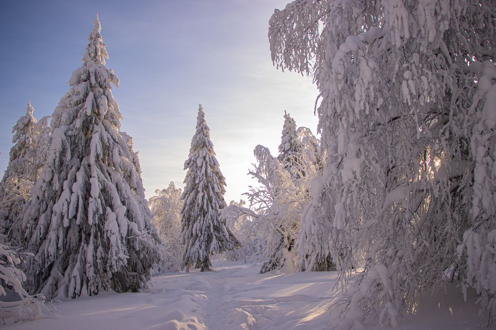 Фотография автора Светлана Роткина