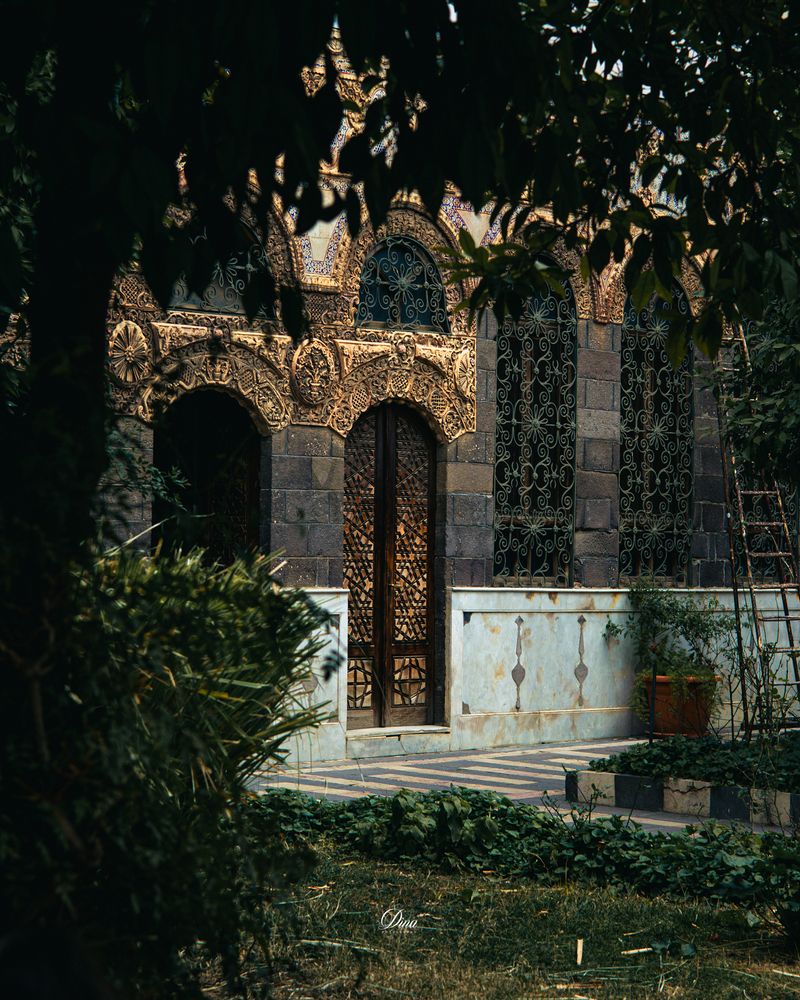 Photograph by Dina mousa