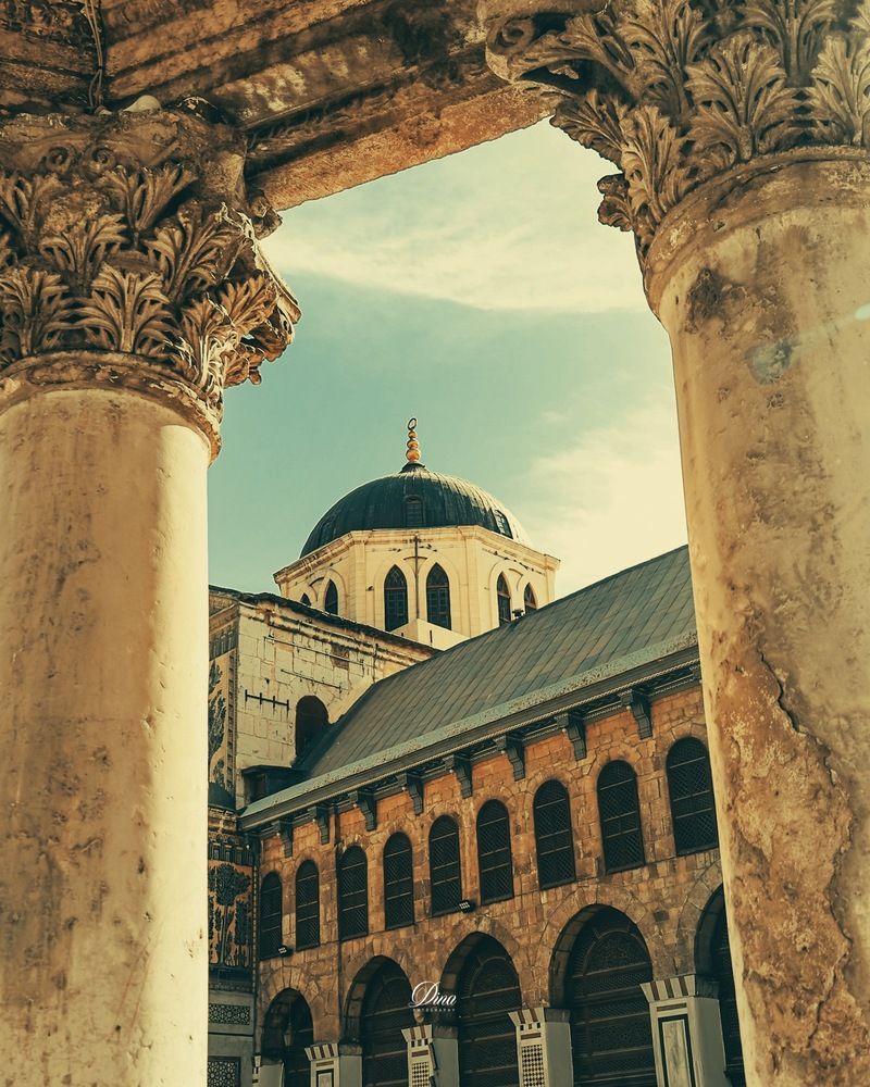 Photograph by Dina mousa