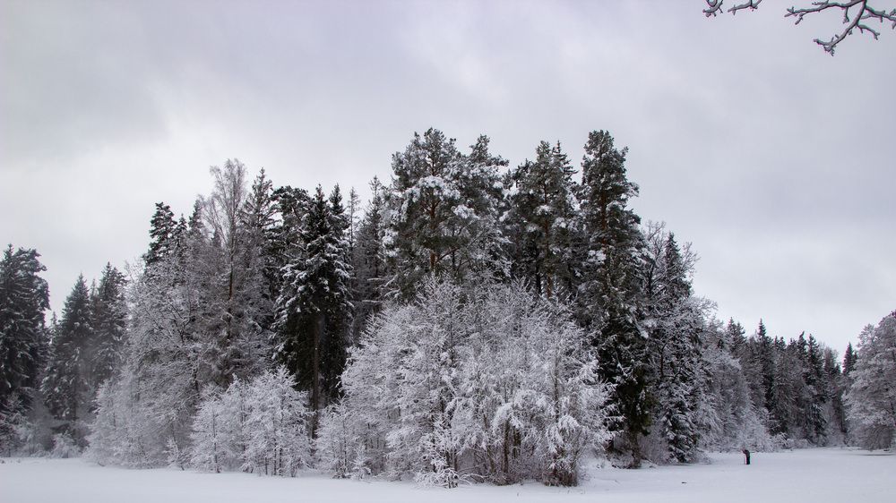 Photograph by Алексей Борисов