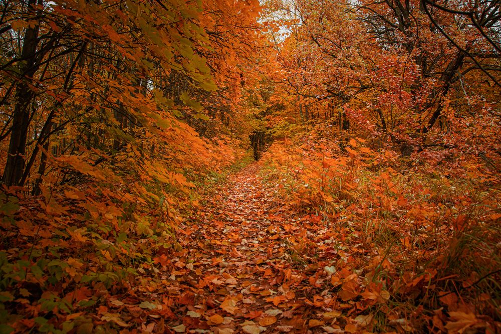 Photograph by Лев Постнов