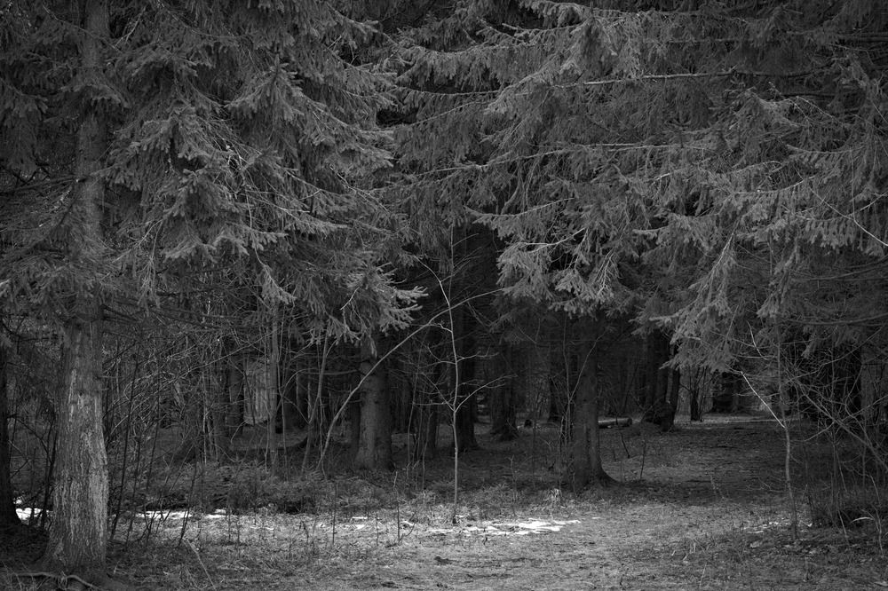 Photograph by Юрий Коротков