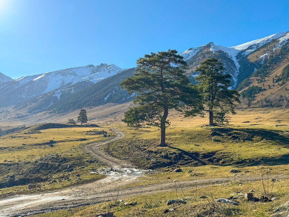 Photograph by Вадим Качанов