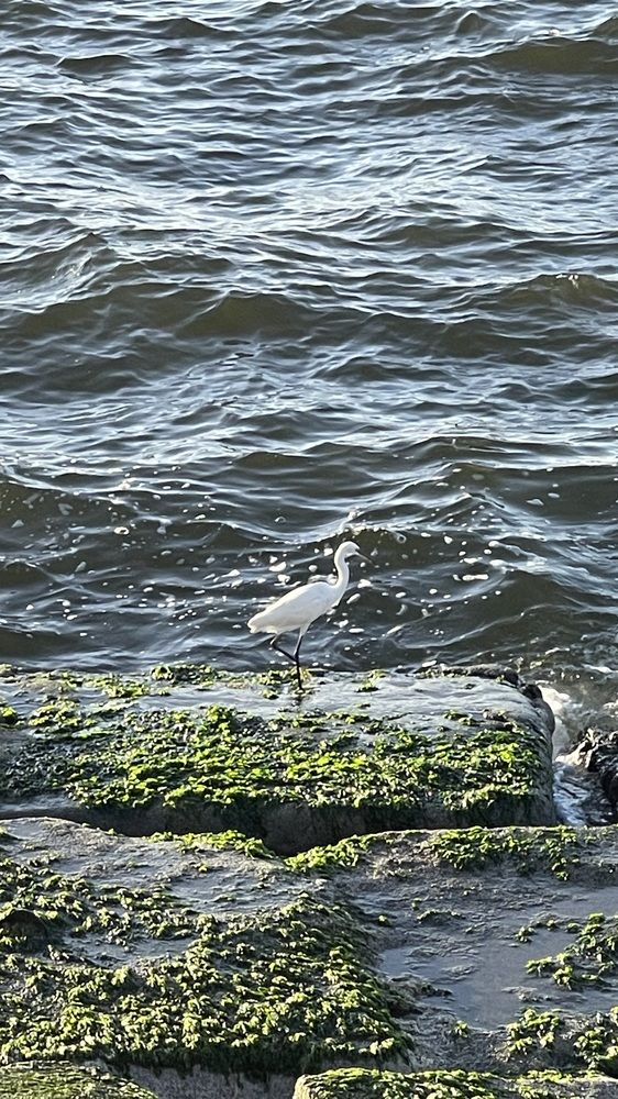 Фотография автора Hala Ali