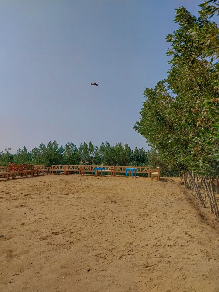 Фотография автора Mennatullah Dakhly