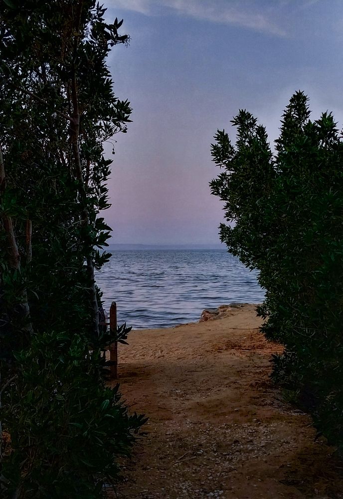 Фотография автора Mennatullah Dakhly