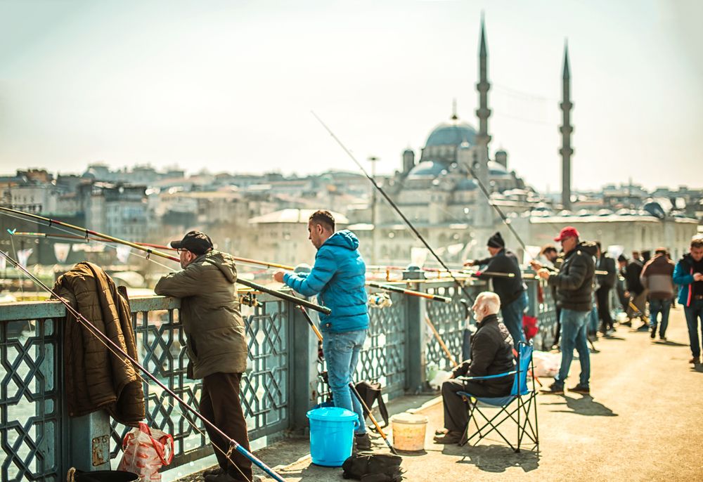 Photograph by Ксения Базарова