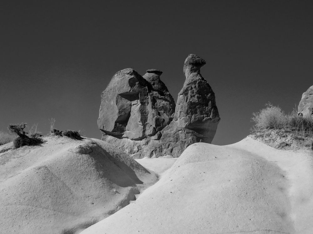 Stone Camel in the Cappadocia Valley