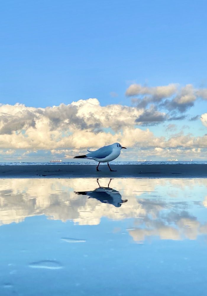 Фотография автора Евгений