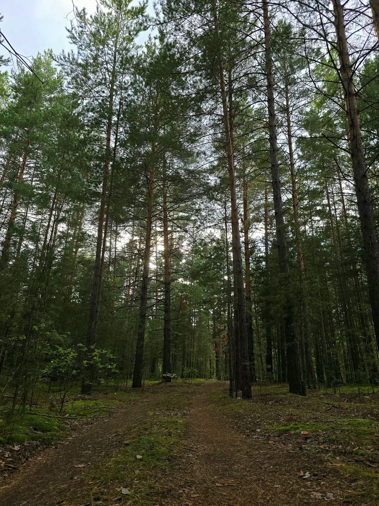 Фотография автора Наталья Иванова