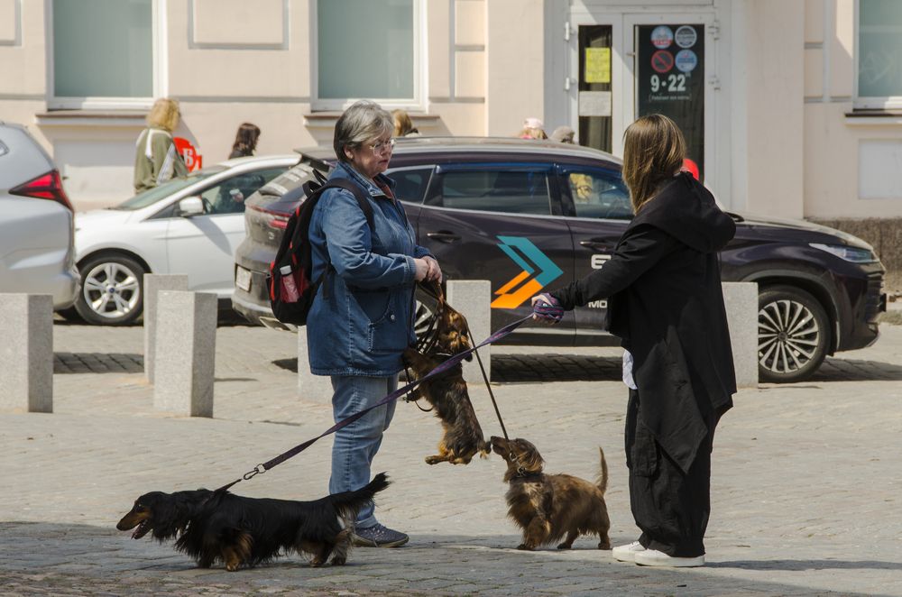 Photograph by Aleksey Aleshin