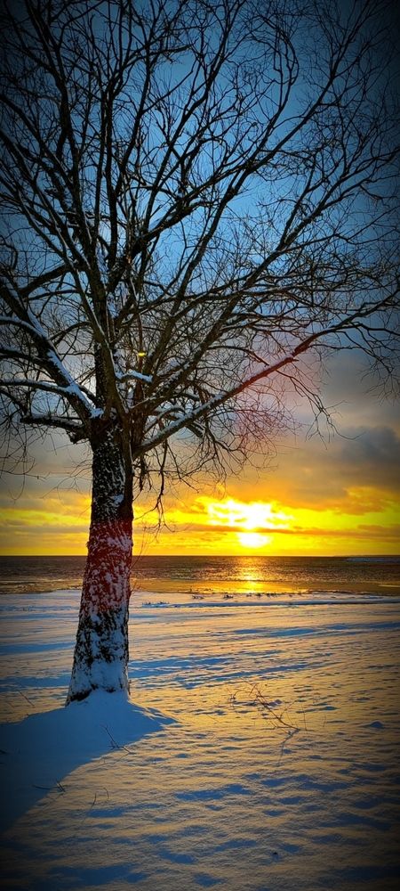 Photograph by ILONA OTRUTSKAYA