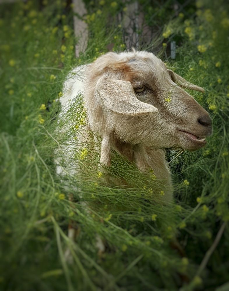 Photograph by Ирина