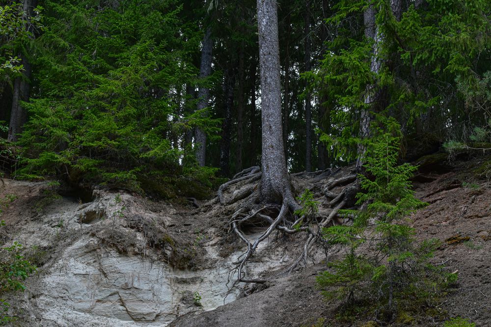 Photograph by Марина Шоркина