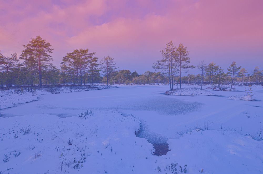 Photograph by Светлана Муравьева