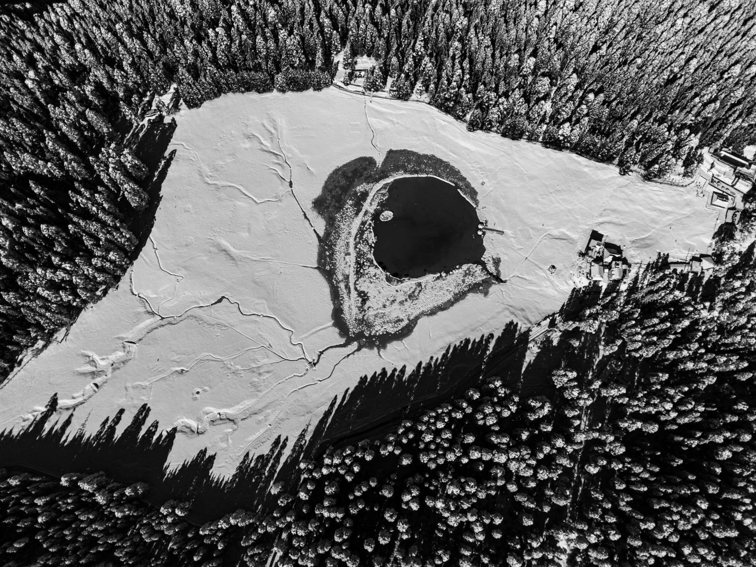 Bird’s eye