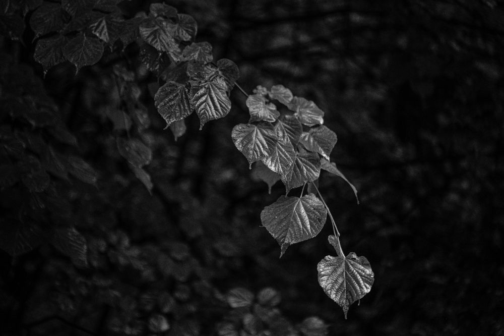 Photograph by Юрий Платухин