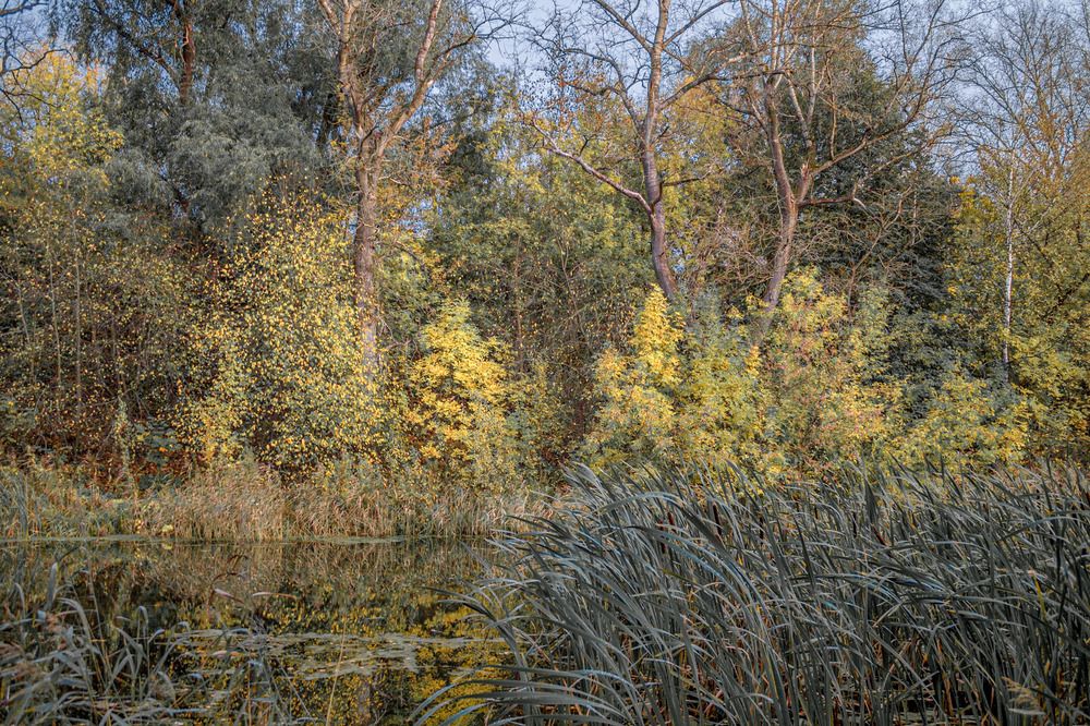 Photograph by Fedorov Denis