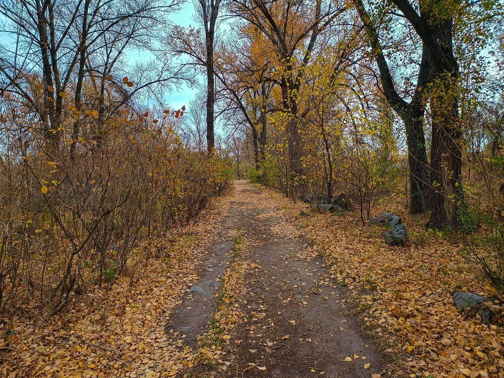 Photograph by Талисман Виталий