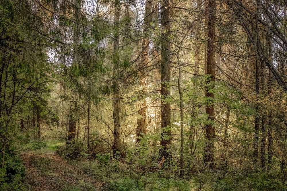 Photograph by Fedorov Denis