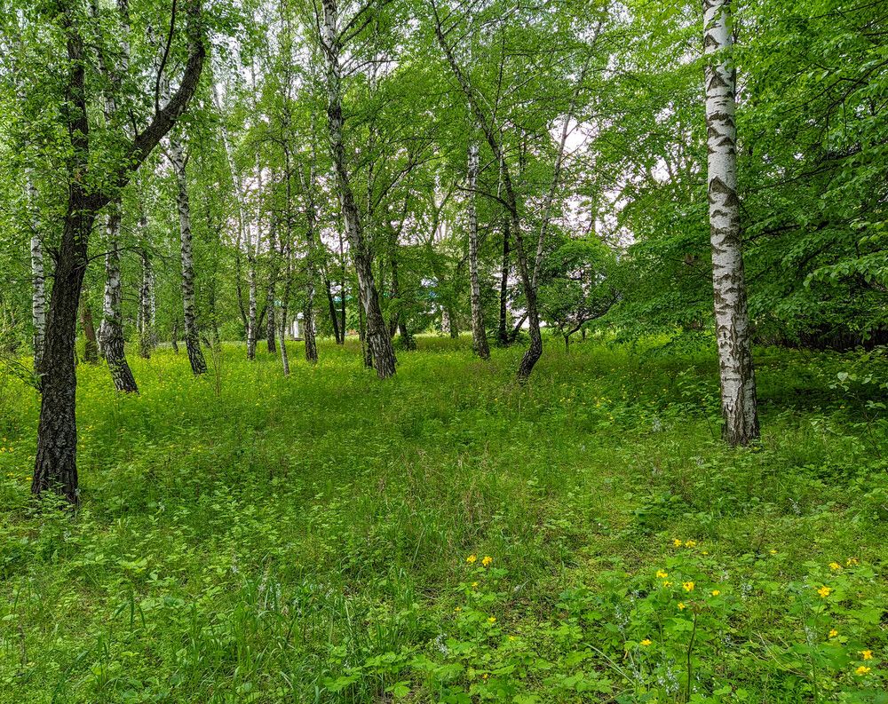 Photograph by Талисман Виталий