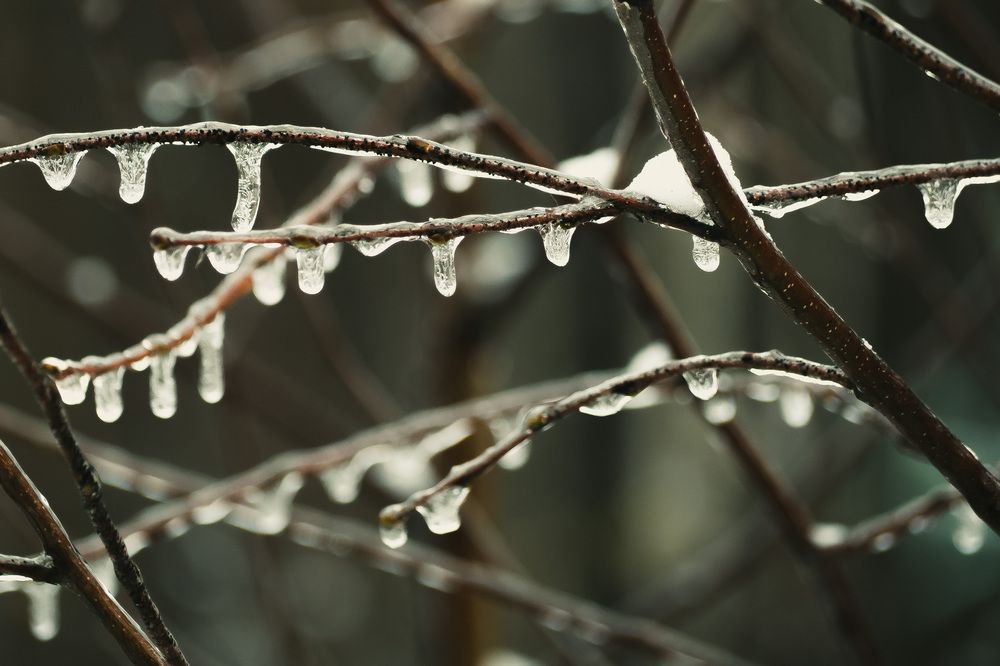 Photograph by Сергей Забиякин