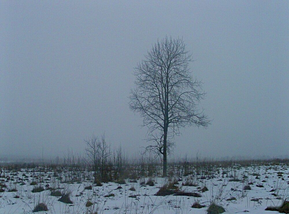 Photograph by Виктор Мухин