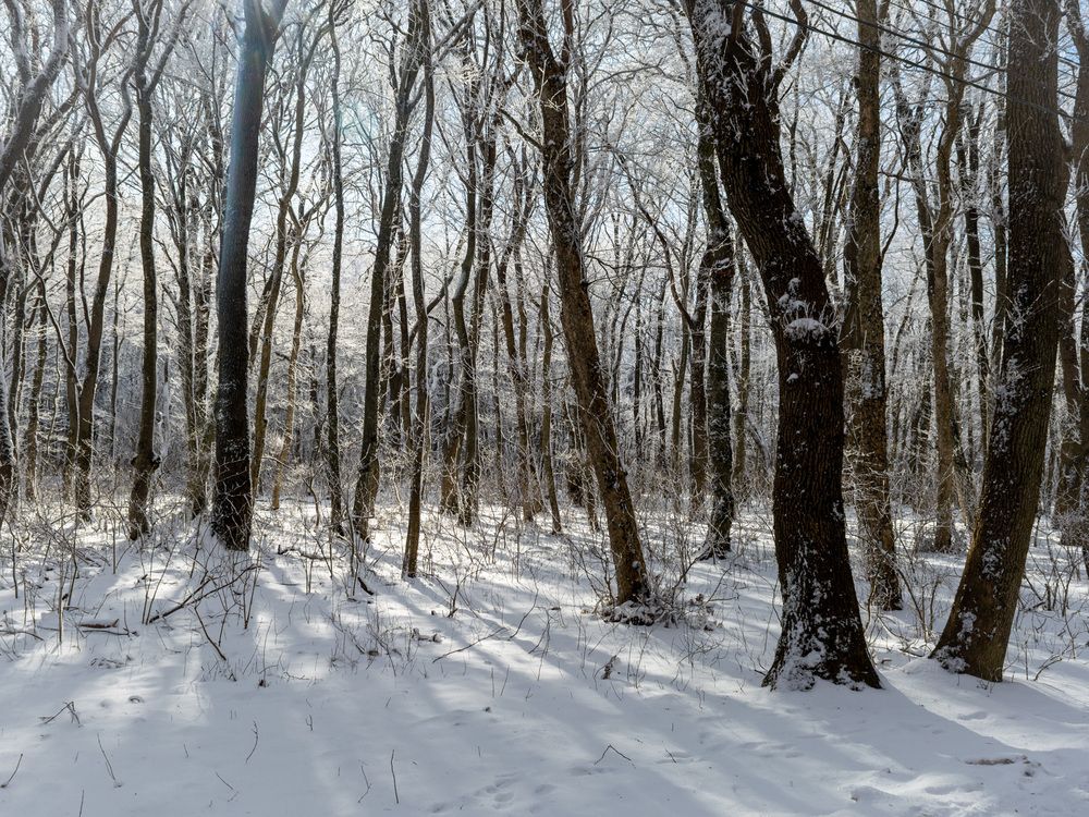 Photograph by Мамсур