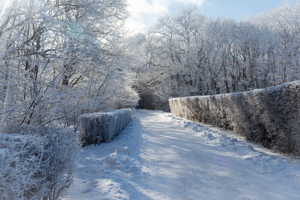 Photograph by Мамсур