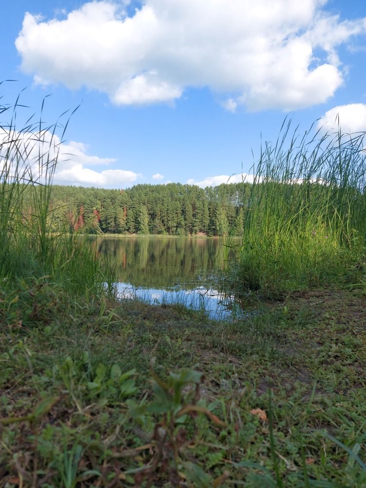 Photograph by Артём Тарасов
