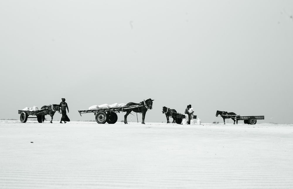 Photograph by Rakib Hasan Redoan