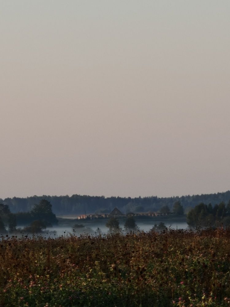 Фотография автора Юлия Шидловская