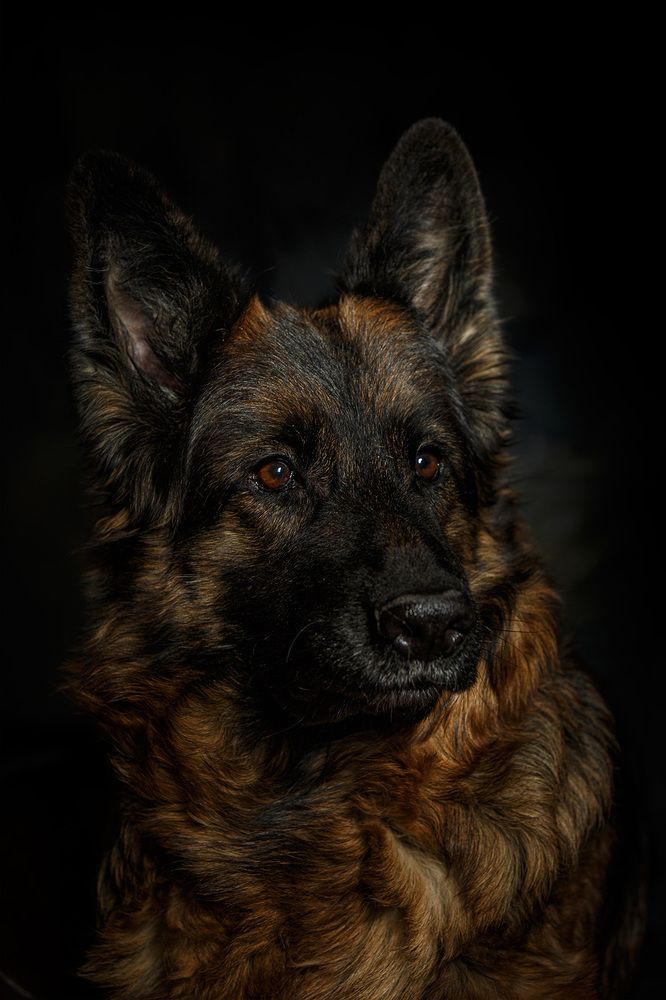 Photograph by Ольга Рябчикова