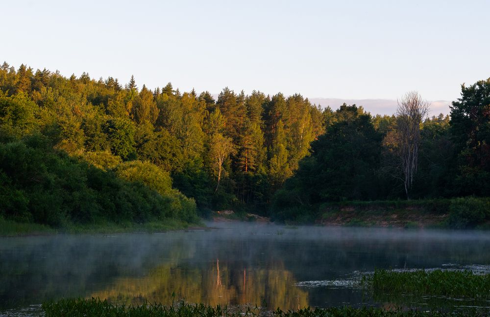 Photograph by Марина Шоркина