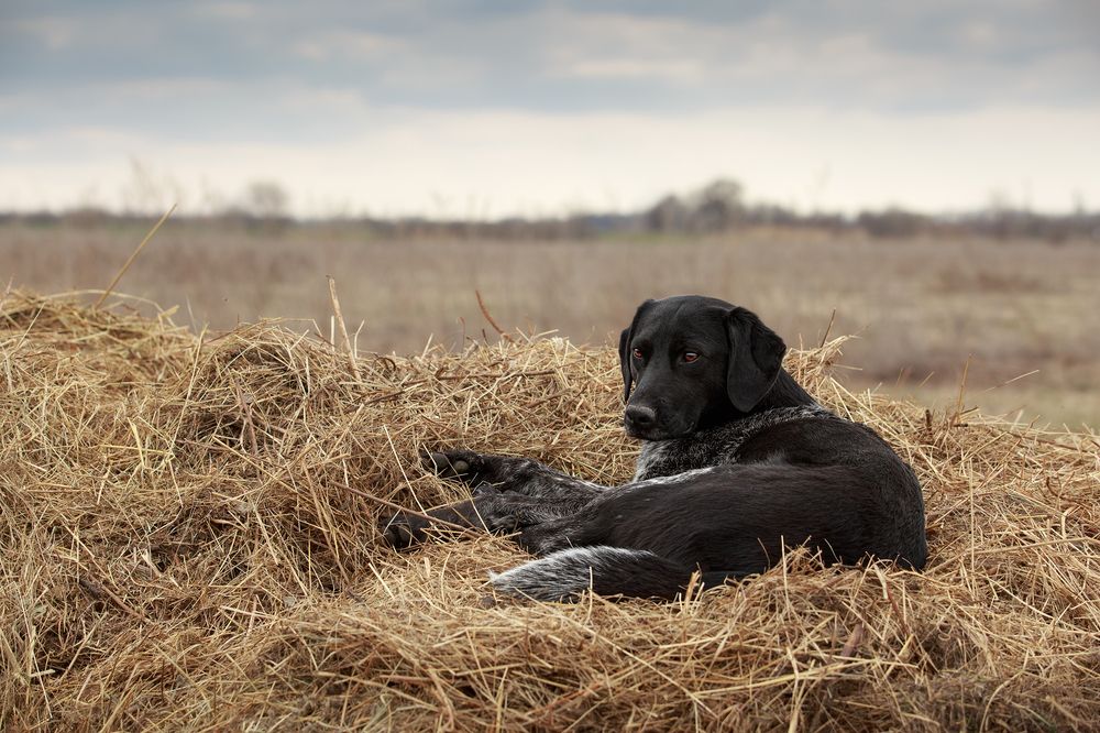 Photograph by Ольга Рябчикова