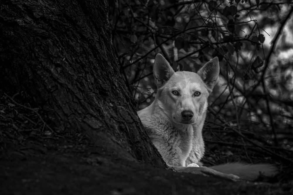 Photograph by Ольга Рябчикова