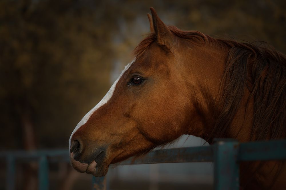 Photograph by Ольга Рябчикова