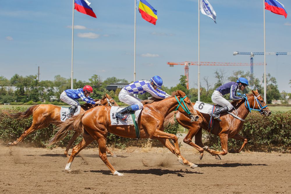 Photograph by Ольга Рябчикова