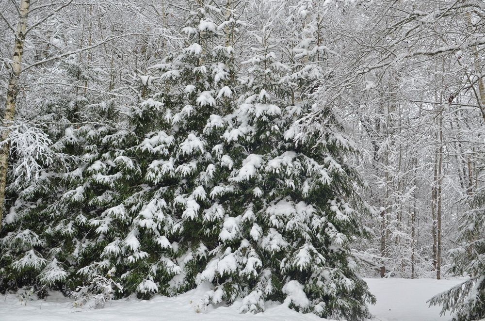 Фотография автора Ольга Беликова