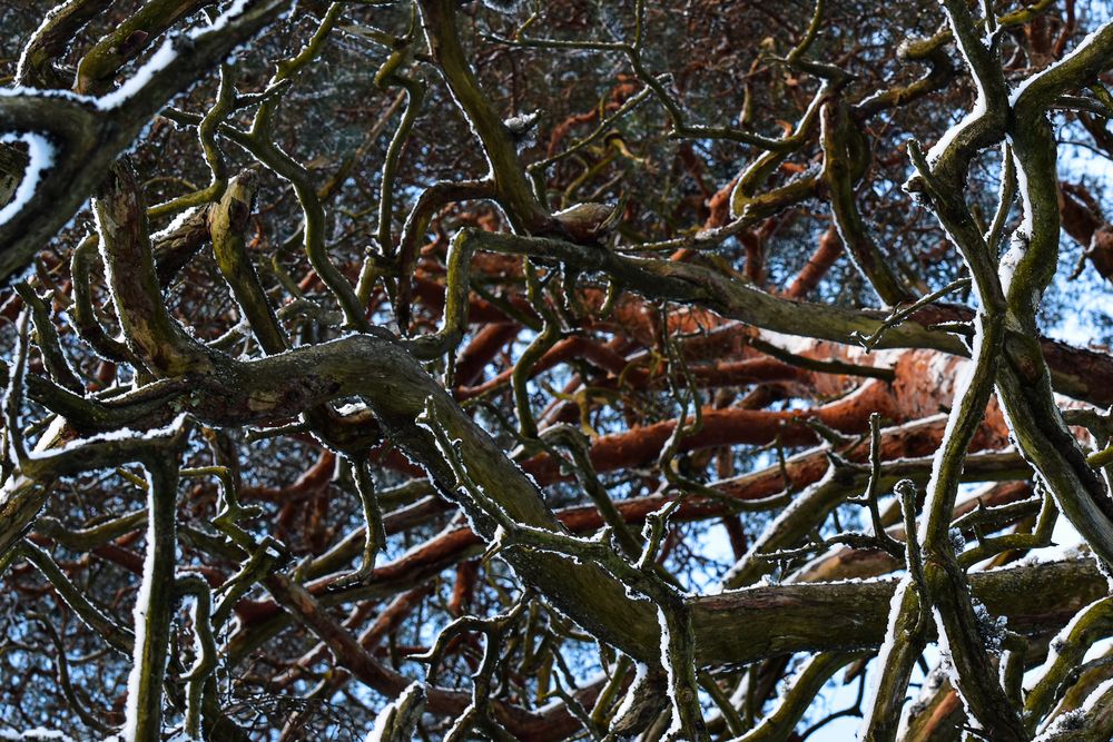 Photograph by Марина Шоркина