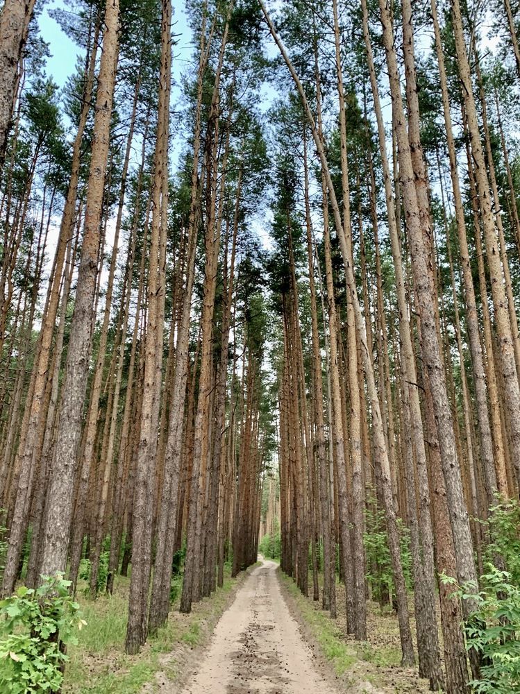 Photograph by Svetlana Rashidova