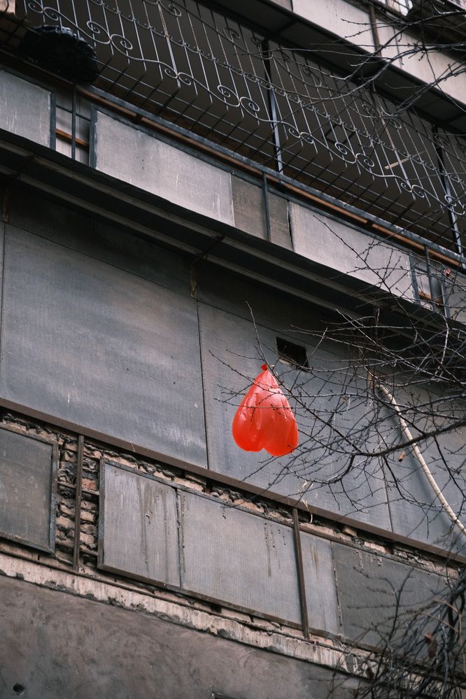 Photograph by Корж Владимир