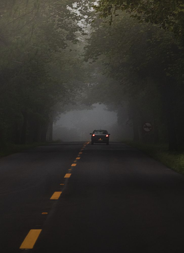 Photograph by Joice Kreiss